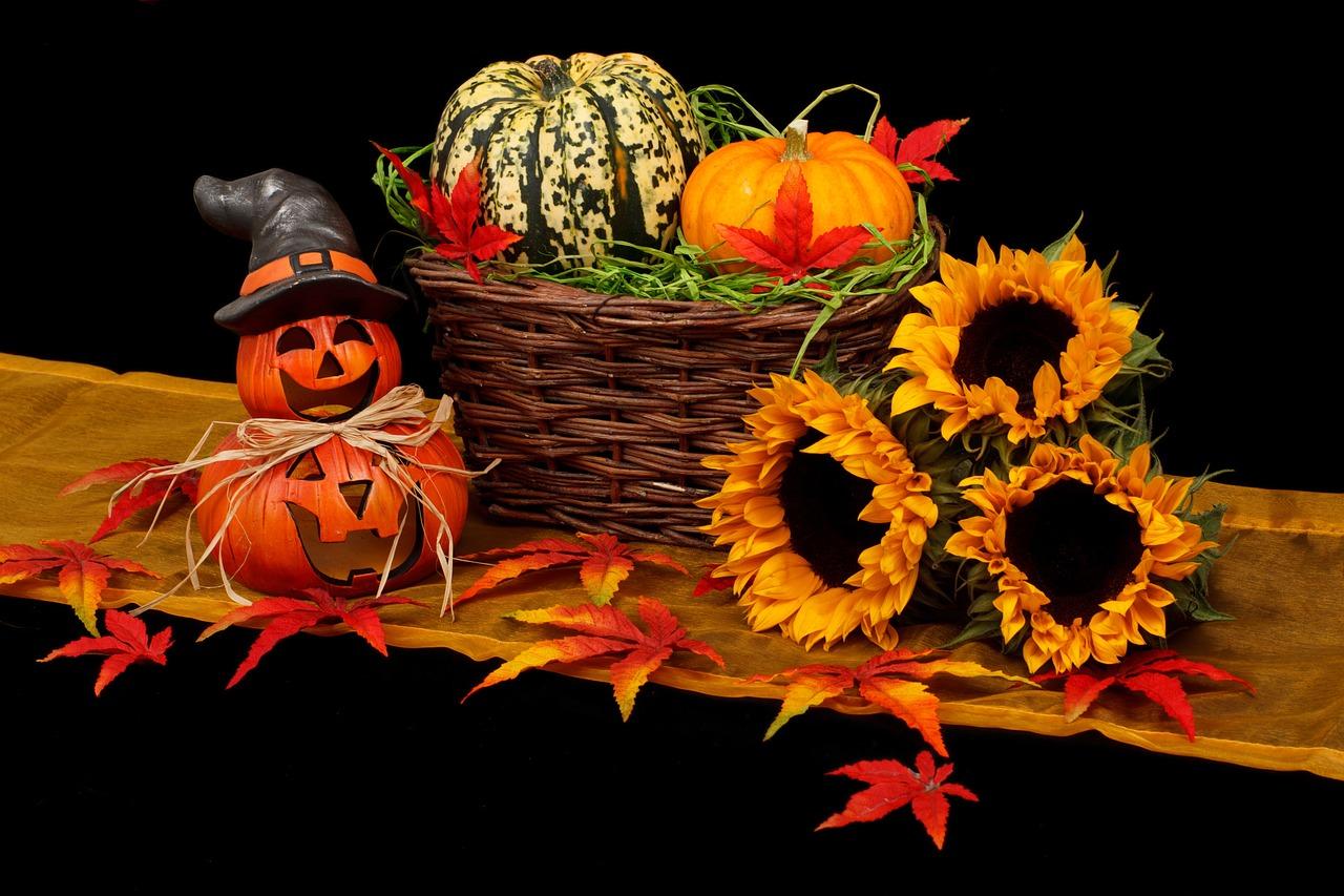 Fall's Charm: A Bostonian's Guide to Autumn and Halloween Magic